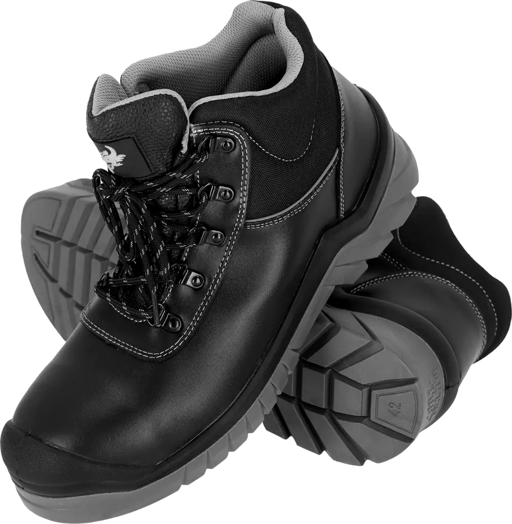BCBOLD-T-B-max.webp